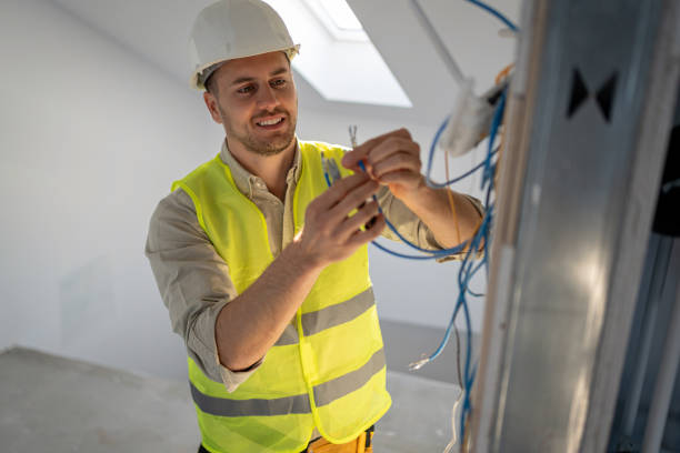 Best Electric Panel Repair  in Huntley, IL